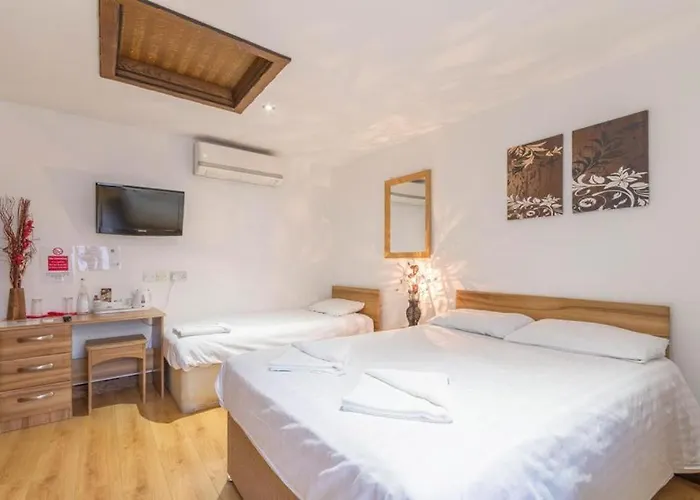 Hôtel accueillant les animaux: Brick Lane Hotel